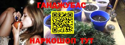 jwh Кандалакша