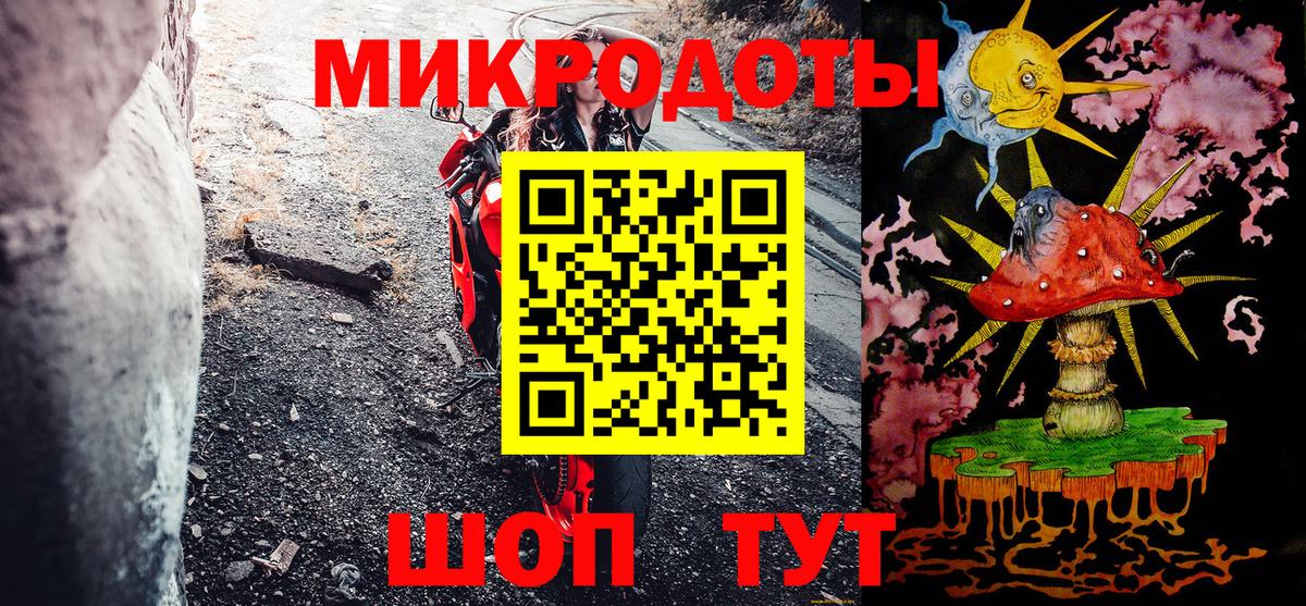 Кстово  Галлюциногенные грибы Psilocybine cubensis  Вход с VPN 