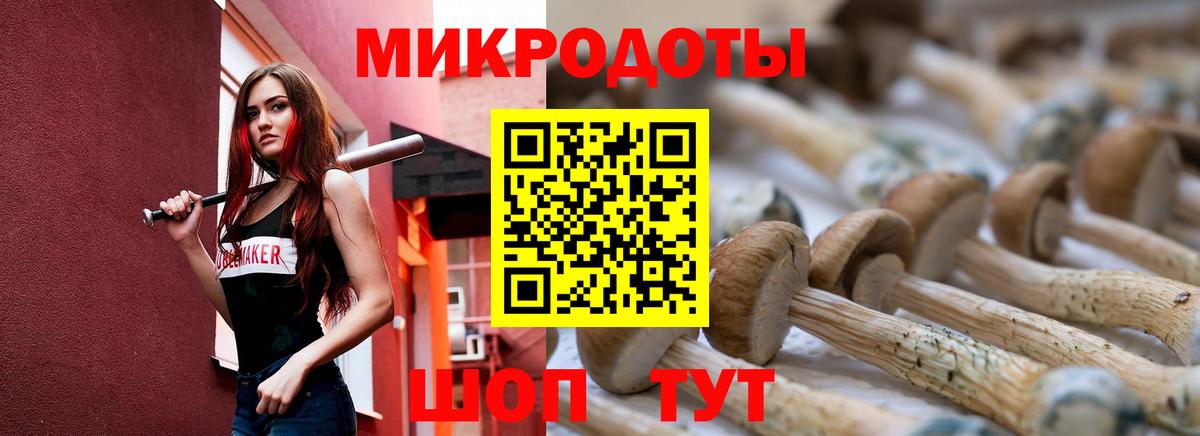 Псилоцибиновые грибы GOLDEN TEACHER Кстово